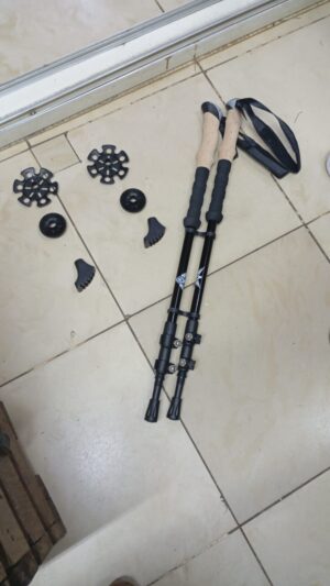 hiking stick pair